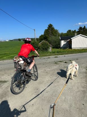 Lille Ulrik og Ella med på sykkeltur
