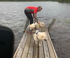 Stein hjelper Jenny og ulrik opp fra badinga i Stamvatnet